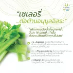 เซเลอรี ผงผักนาโนuSmile101 เนื้อผักสดดื่มได้ ผงละเอียดดื่มง่าย