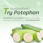 USMILE101 Nano vegetables, nano vegetable powder