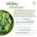 ผักนาโน uSmile101ผงผักโขมผสมผักเคล S+K เพื่อสุขภาพ