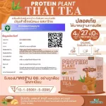 Protein Plants โปรตีน แพลนท์ รสชาไทย จากพืช 3 ชนิด ออแกร์นิค โปรตีนจากข้าว ถั่วลันเตา มันฝรั่ง ปรุงสำเร็จชนิดผง 1 กล่อง 7 ซอง 350 กรัม