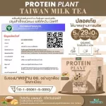 Protein Plants protein, Taiwanese milk tea, from 3 plants, organic protein from peas, peas, instant potatoes, 1 box of powder, 7 sachets, 350 grams