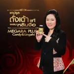 Megara rental megara Megaraplus, Cordycelette-Cordy & Lingzhi 100% genuine 120 capsules