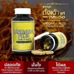 Megara rental megara Megaraplus, Cordycelette-Cordy & Lingzhi 100% genuine 120 capsules