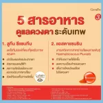 LC Vit 3 X X Lutein and Zeazine Dietary supplements Mix Astazanthin Bilberry extract, vitamin A and vitamin E, protect the eyes of blue light, mobile phone