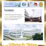 Giffarine inulin, fiber -dynam, dietary supplement, inulin dietary supplement, mixed vegetables, fruits and powder vitamin C.