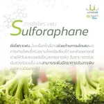 Whatever you want, you can get the best with the Super AB AB All Fiber 2 vegetables. Superfoods Asparagus + Broccoli levels that will strengthen.