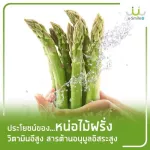 หน่อไม้ฝรั่งผง ชงดื่มด้วยคุณค่าสารอาหารมากกว่า80ชนิด จากวัตถุดิบชั้นยอดจากธรรมชาติ
