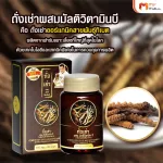 MVMALL CORDYCEPS Plus Multi Vitamin b