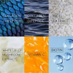 Well U Collagen, Wellagen Collagen Dipette And tripetide trial size 3 boxes