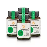 Vita Nature Plus supplement Mulberry leaf extract Mixed with 4 bottles of Moringa leaf extract