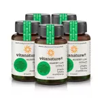 อาหารเสริม ไวตาเนเจอร์พลัส สารสกัดใบหม่อน ผสมสารสกัดใบมะรุม 5 กระปุก