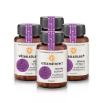 Vitanger Plus Vitanature+ Carpet Extract Mixed with 4 Ginkgo Biloba Extracts