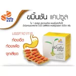 ของแท้! ขมิ้นชัน บรรเทาอาการท้องอืด กล่องบรรจุ 10แผงx10 แคปซูล ขมิ้นชันแคปซูล ไฟโตแคร์ องค์การเภสัชกรรม พร้อมส่ง