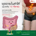 MVMALL SP 59 Formula 2 Capsule S-P 59 formula 2 herbs Drive a loss of 9 capsules in the intestine.