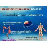 ซีมินดริ้งค์ See Min Drink กิฟฟารีน แคลเซียมจากสาหร่ายทะเลสีแดง ปวดข้อปวดเข่า ลดการอักเสบพร้อมแร่ธาตุ72ชนิด