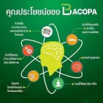 บาโคพา Bacopa กิฟฟารีน บำรุงสมอง ความจำ