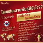 โสม 3 สายพันธุ์ กิฟฟารีน Ginseng 3G Giffarine ภูมิคุ้มกัน เหนื่อยล้า บำรุงหัวใจประสาทสมอง