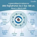 Aqua Tear อควาเทียร์ กิฟฟารีน ลดอาการตาแห้ง