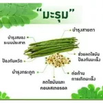 มะรุม-ซี กิฟฟารีน สมุนไพรใบมะรุมผสมวิตามินซี ชนิดแคปซูลลดความดัน คอลเลสเตอรอล แผลในกระเพาะ ตับอักเสบ