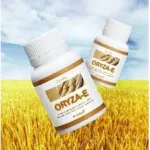 Rice bran oil and wheat germ oil Giffarine Oreza E Giffarine Oryza-E fat in the blood, skin care, brain enhancement