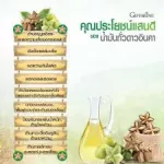 น้ำมันถั่วดาวอินคา อเมซอน กิฟฟารีน Amazon Inca Oil Giffarine