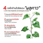 Blown betel mixed with beta glucan Prevention of allergies, preventing immunity