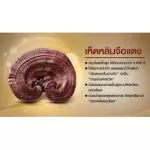 Red Ling Ling Ling Ling Zhi nourish the body with immune system. Age