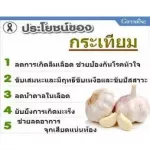 กระเทียม Garlic โรคหลอดเลือด คลอเรสเตอรอล ไตรกลีเซอไลน์
