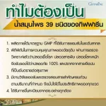 ปัณจะ ภูตะ กิฟฟารีน สมุนไพร 39 ชนิด ไทย จีน อินเดีย ช่วยปรับสมดุลร่างกายให้ทำงานได้ปกติไม่ป่วยง่าย
