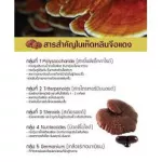 Red Ling Ling Ling Ling Zhi nourish the body with immune system. Age