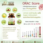 Balance Asta Sandin Plus