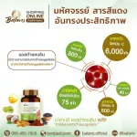 Balance Asta Sandin Plus