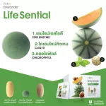 Beyonde Life Senial Beyond Life Senseol, dietary supplement for health care