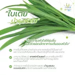 ใบเตยผสมใบหม่อน ผงผักนาโนuSmile101 เนื้อผักสดดื่มได้ ผงละเอียดดื่มง่าย