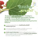 ใบเตยผสมใบหม่อน ผงผักนาโนuSmile101 เนื้อผักสดดื่มได้ ผงละเอียดดื่มง่าย