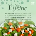 ผักนาโน uSmile101ผงผักโขมผสมผักเคล S+K เพื่อสุขภาพ