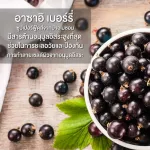 โนล่า อาซาอิ เบอร์รี่ สกัดเข้มข้น พร้อมดื่ม สารต้านอนุมูลอิสระสูงที่สุด สุดยอดอาหารผิว สร้างเกราะป้องกันให้กับร่างกาย