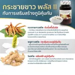 Dietary supplement Krachai White Extract Plus 2