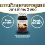 Dietary supplement Krachai White Extract Plus 2