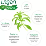 Festa Stevia Sweetener เฟสต้า สตีเวีย หญ้าหวานจากธรรมชาติ 40ซอง/กล่อง