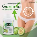 Garcinia Extract Garcinia Extract x 3 bottles of Garcinia The Nature The Nature weight loss weight