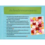 โกจิเบอร์รีผงชงดื่มผสมสารสกัดจากลำไยและพุทราจีน