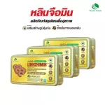 LINHZHIMIN หลินจือมิน 60 แคปซูล 3 กล่อง / NATURE BIOTEC เนเจอร์ไบโอเทค  แถมฟรี 15 แคปซูล เห็ดหลินจือแดงสกัดเข้มข้น
