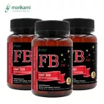 FB 500 burns fat, FB 500 x 3 bottles, Morikami Labrathorn Morikami Laboratories