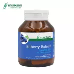 Bilberry Extract extract from Bilberry x 1 bottle. Morikami Laboratories Mori Kami Labrathor