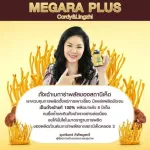 ถั่งเช่า-ถั่งเฉ้า ถั่งเช่าเมการ่า Megaraplus ถั่งเช่าผสมเห็ดหลินจือ ของแท้ 100% 60 แคปซูล 3 กระปุก