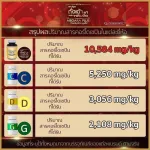 ถั่งเช่า-ถั่งเฉ้า ถั่งเช่าเมการ่า Megaraplus ถั่งเช่าผสมเห็ดหลินจือ ของแท้ 100% 60 แคปซูล 3 กระปุก