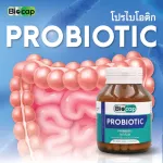 Probiotic x 1 bottle of 10 varieties of PLUS prebiotic biocap Prebiotic