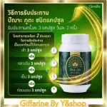 Pan Phuta, Capsules, 3, Thai, Thai, Chinese and India, 39 herbs