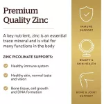 Ready to send sync, picoline, solgar, zinc picolinate, 22 mg, 100 tablets.